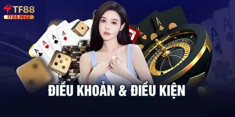 điều khoản & điều kiện Tổng quan điều khoản & điều kiện